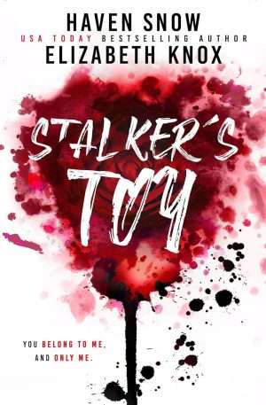 Stalker's Toy -  Elizabeth Knox