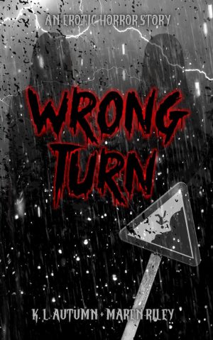 Wrong Turn  -  Maren Riley