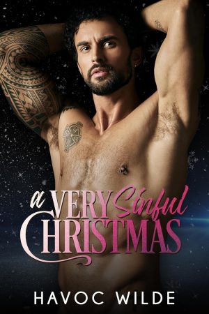 A Very Sinful Christmas - Havoc Wilde